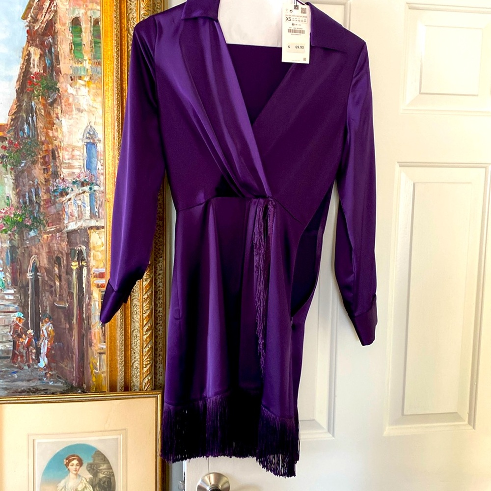 Zara NWT dress. Absolutely beautiful